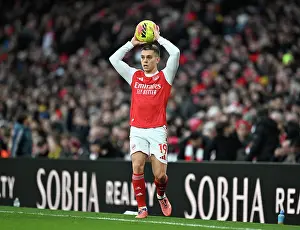 Arsenal v Brighton & Hove Albion - Premier League<br> Arsenal v Brighton & Hove Albion - Premier League