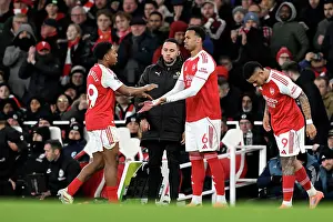 Arsenal v Brighton & Hove Albion - Premier League<br> Arsenal v Brighton & Hove Albion - Premier League