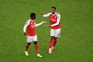 Arsenal v Crystal Palace - Premier League