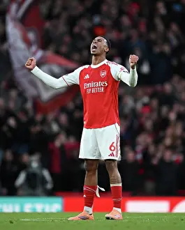 Arsenal v Crystal Palace - Premier League