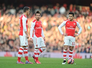 Arsenal v Middlesbrough - FA Cup 2014-15 Collection: Arsenal v Middlesbrough - FA Cup Fifth Round