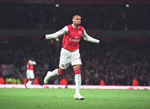 Images Dated 18th November 2006: Arsenal v Newcastle United 2006-07
