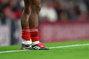 Arsenal v Wolverhampton Wanderers - Premier League