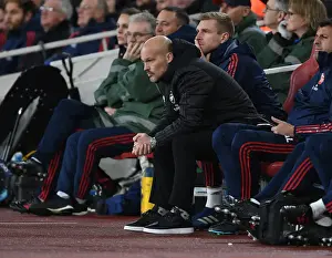Arsenal vs Brighton: Freddie Ljungberg Leads at Emirates Stadium