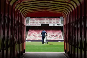 Arsenal vs Brighton & Hove Albion: Preparing the Emirates Stadium Pitch for Premier League Clash