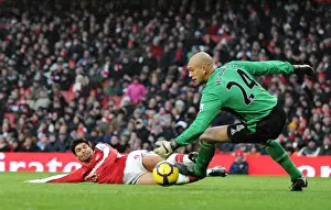 Arsenal vs Everton: Eduardo vs Tim Howard - 2-2 Stalemate at Emirates Stadium