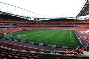 Arsenal V Fenerbahce 2013-14 Prints: Arsenal vs Fenerbahce: UEFA Champions League Play-offs at Emirates Stadium (2013-14)