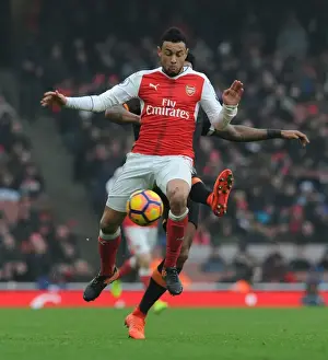 Arsenal V Hull City 2016-17 Prints: Arsenal vs Hull City: Coquelin vs Huddlestone Clash in Premier League Showdown