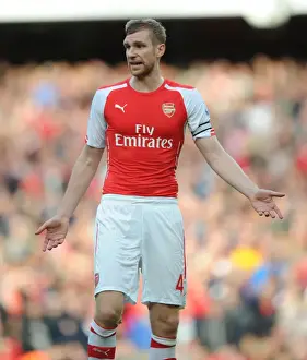 Arsenal V Hull City 2014-15 Prints: Arsenal vs Hull City: Per Mertesacker in Action at the Emirates Stadium