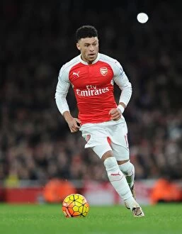 Arsenal v Manchester City 2015-16 Collection: Arsenal vs Manchester City: Oxlade-Chamberlain's Intense Performance (2015-16 Premier League)