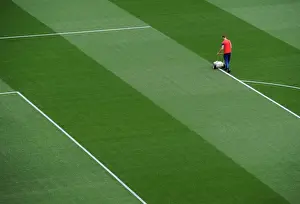 Arsenal Swansea City 2014/15 Prints: Arsenal vs Swansea City: Emirates Stadium Pitch Preparation, May 2015