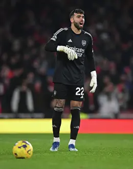 Arsenal vs. Wolverhampton Wanderers: David Raya's Premier League Battle (2023-24)