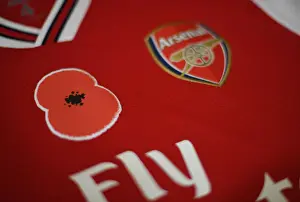 Arsenal vs. Wolverhampton Wanderers: Poppy Tribute Premier League Match, Emirates Stadium, London, 2019
