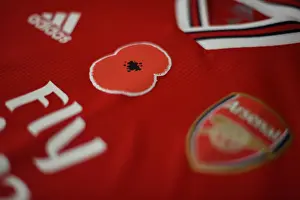 Arsenal vs. Wolverhampton Wanderers: Poppy Tribute - Premier League Match (2019)