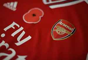 Arsenal vs. Wolverhampton Wanderers: Poppy Tribute Premier League Match at Emirates Stadium, London, 2019