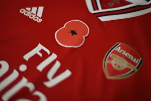 Arsenal vs. Wolverhampton Wanderers: Poppy Tribute Premier League Match at Emirates Stadium, London, 2019
