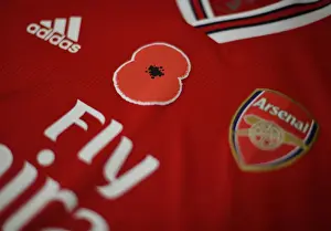 Arsenal vs. Wolverhampton Wanderers: Poppy Tribute Premier League Match at Emirates Stadium, London, 2019