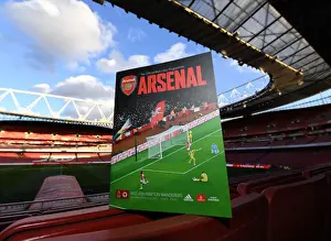 Arsenal vs. Wolverhampton Wanderers: Premier League Clash at Emirates Stadium