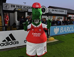 Images Dated 17th September 2022: Arsenal WFC vs. Brighton & Hove Albion WFC: Barclays Women's Super League Showdown at Meadow Park