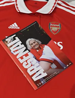 Arsenal WFC vs Brighton & Hove Albion WFC: Barclays Women's Super League Showdown at Meadow Park