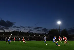 Arsenal Women vs Brighton & Hove Albion: FA Cup Semi-Final Battle