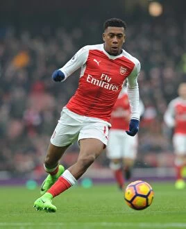 Images Dated 11th February 2017: Arsenal's Alex Iwobi in Action against Hull City during 2016-17 Premier League Clash at Emirates