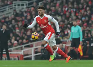 Arsenal V Hull City 2016-17 Prints: Arsenal's Alex Oxlade-Chamberlain in Action: Arsenal vs
