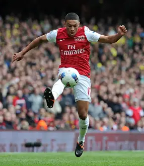 Arsenal V Norwich City 2011-12 Prints: Arsenal's Alex Oxlade-Chamberlain in Action Against Norwich City