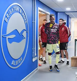 Arsenal's Aubameyang Prepares for Premier League Clash against Brighton & Hove Albion