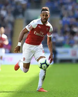 Arsenal's Aubameyang Scores Stunning Goals: Cardiff City vs. Arsenal, Premier League 2018-19