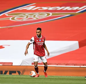 Arsenal's Aubameyang Stars: Arsenal vs. Watford (2019-20)