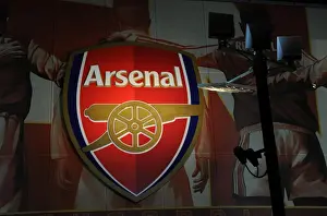 Arsenal's Carling Cup Semi-Final Victory: 3-0 over Ipswich Town (3-1 agg) at Emirates Stadium