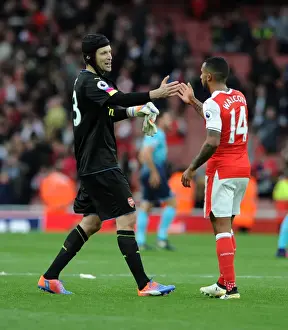 Arsenal V Swansea City 2016-17 Prints: Arsenal's Cech and Walcott: Celebrating Victory Over Swansea City (2016-17)