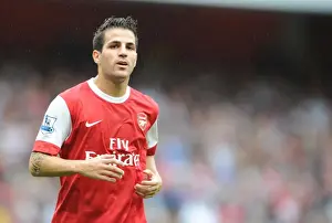 Arsenal's Cesc Fabregas Shines in 6-0 Barclays Premier League Victory over Blackpool at Emirates Stadium