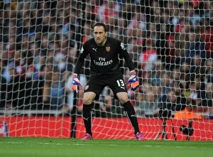 Images Dated 11th May 2015: Arsenal's David Ospina in Action: 2014/15 Arsenal vs Swansea City