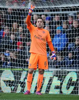 Arsenal's David Ospina in Action During the 2014-15 Premier League Match Against Crystal Palace