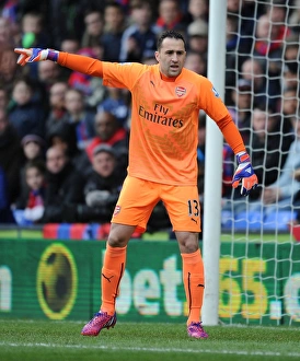 Arsenal's David Ospina in Action at Crystal Palace, Premier League 2014-15
