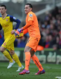 Arsenal's David Ospina in Action Against Crystal Palace (2014-15)