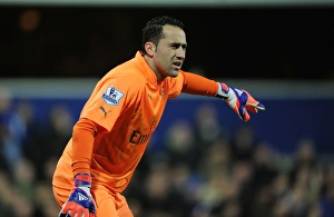 Queens Park Rangers V Arsenal 2014-15 Prints: Arsenal's David Ospina in Action Against Queens Park Rangers, Premier League 2014-15