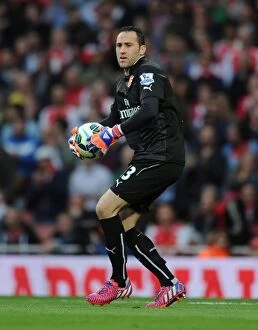 Arsenal Swansea City 2014/15 Collection: Arsenal's David Ospina in Action Against Swansea City (2014/15)