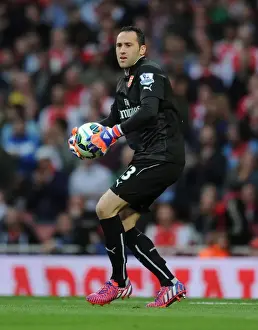 Arsenal's David Ospina in Action Against Swansea City (2014/15)