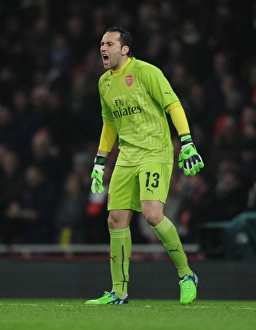 Arsenal's David Ospina in FA Cup Action: Arsenal vs. Hull City (2014-15)