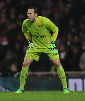 Arsenal's David Ospina in FA Cup Action: Arsenal vs. Hull City (2014-15)