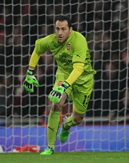 Arsenal's David Ospina in FA Cup Action: Arsenal vs Hull City (2014-15)
