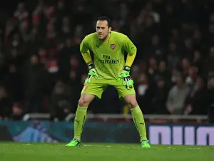 Arsenal V Hull City 2014-15 - FA Cup Prints: Arsenal's David Ospina in FA Cup Action: Arsenal vs Hull City (2014-15)