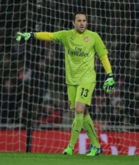 Arsenal's David Ospina in FA Cup Action: Arsenal vs Hull City (2014-15)