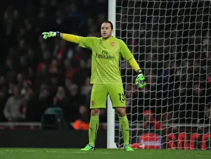 Arsenal V Hull City 2014-15 - FA Cup Prints: Arsenal's David Ospina in FA Cup Action Against Hull City (2014-15)