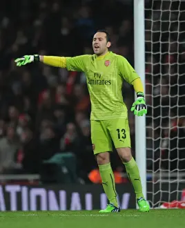 Arsenal V Hull City 2014-15 - FA Cup Prints: Arsenal's David Ospina Focused During FA Cup Match Against Hull City