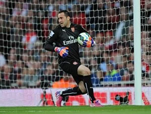 Arsenal Swansea City 2014/15 Collection: Arsenal's David Ospina: Unwavering Focus Against Swansea City (2014/15)