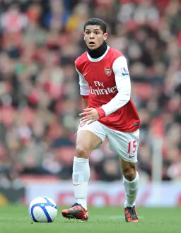 Arsenal's Denilson Scores in FA Cup Win over Huddersfield Town (30.01.2011)